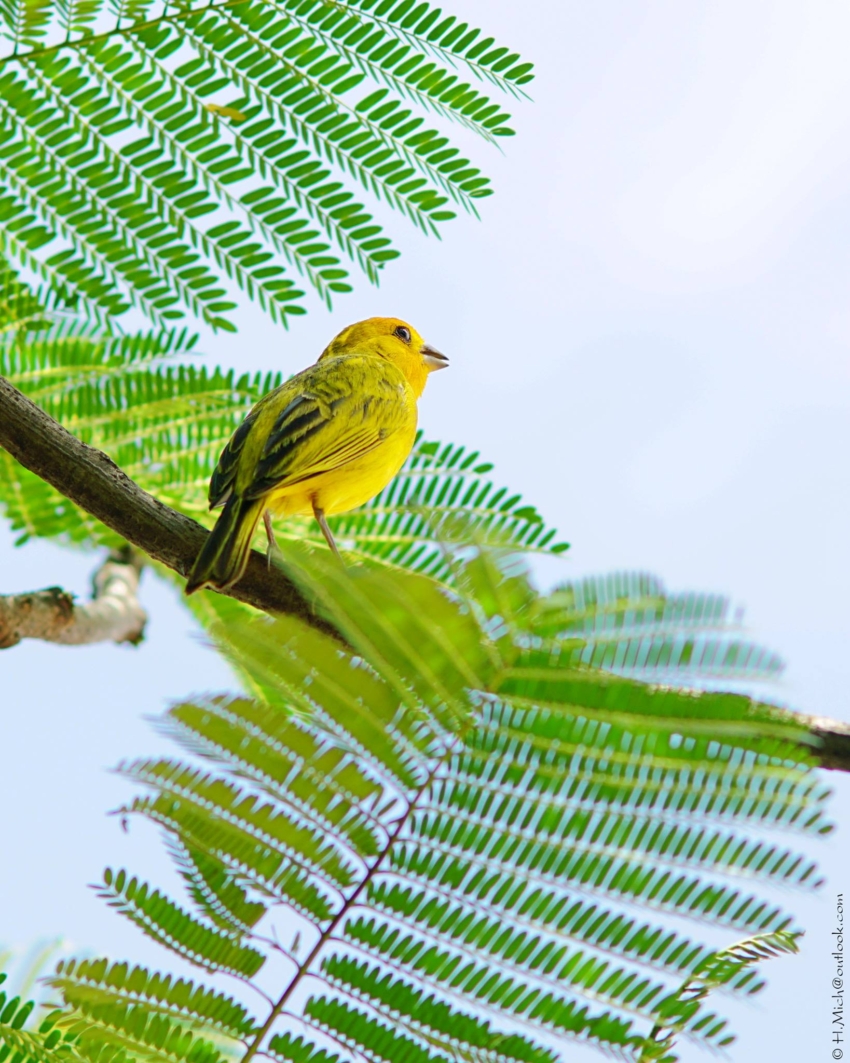 Studio-One.Art.br Repo Fotografia em Rio Preto SP/Brasil