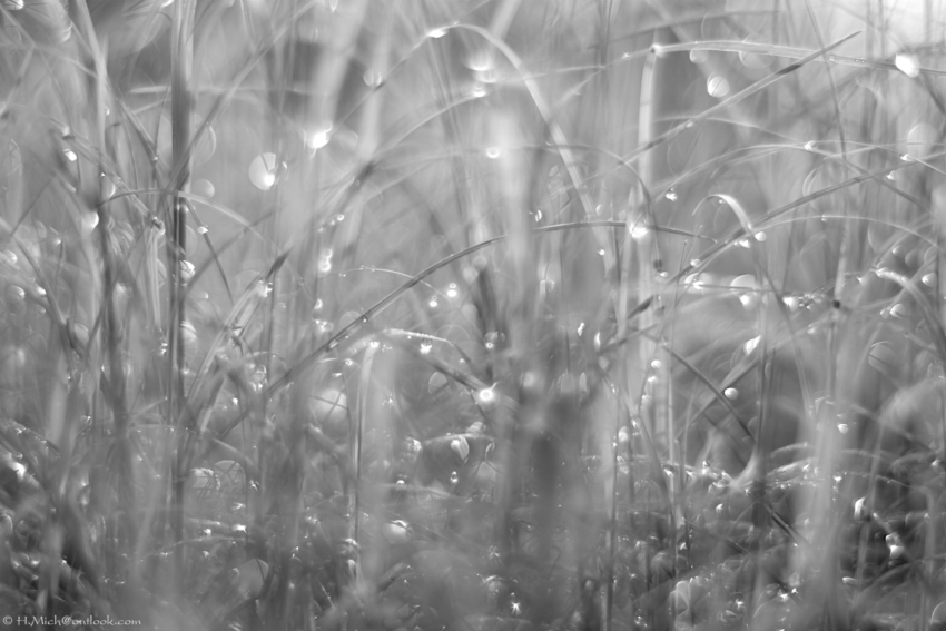 Studio-One.Art.br Repo Fotografia em Rio Preto SP/Brasil