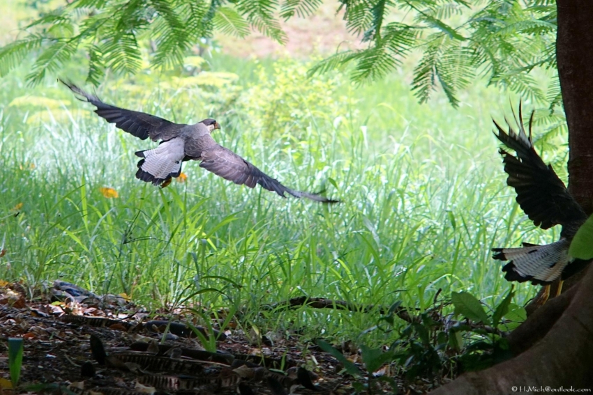 Studio-One.Art.br Repo Fotografia em Rio Preto SP/Brasil