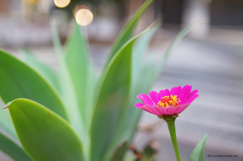 Studio-One.Art.br Repo Fotografia em Rio Preto SP/Brasil
