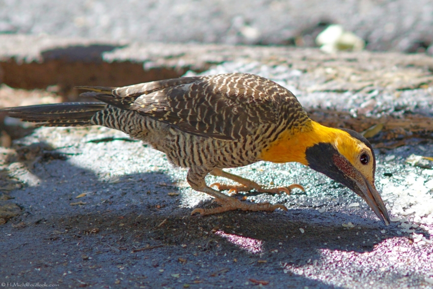 Studio-One.Art.br Repo Fotografia em Rio Preto SP/Brasil