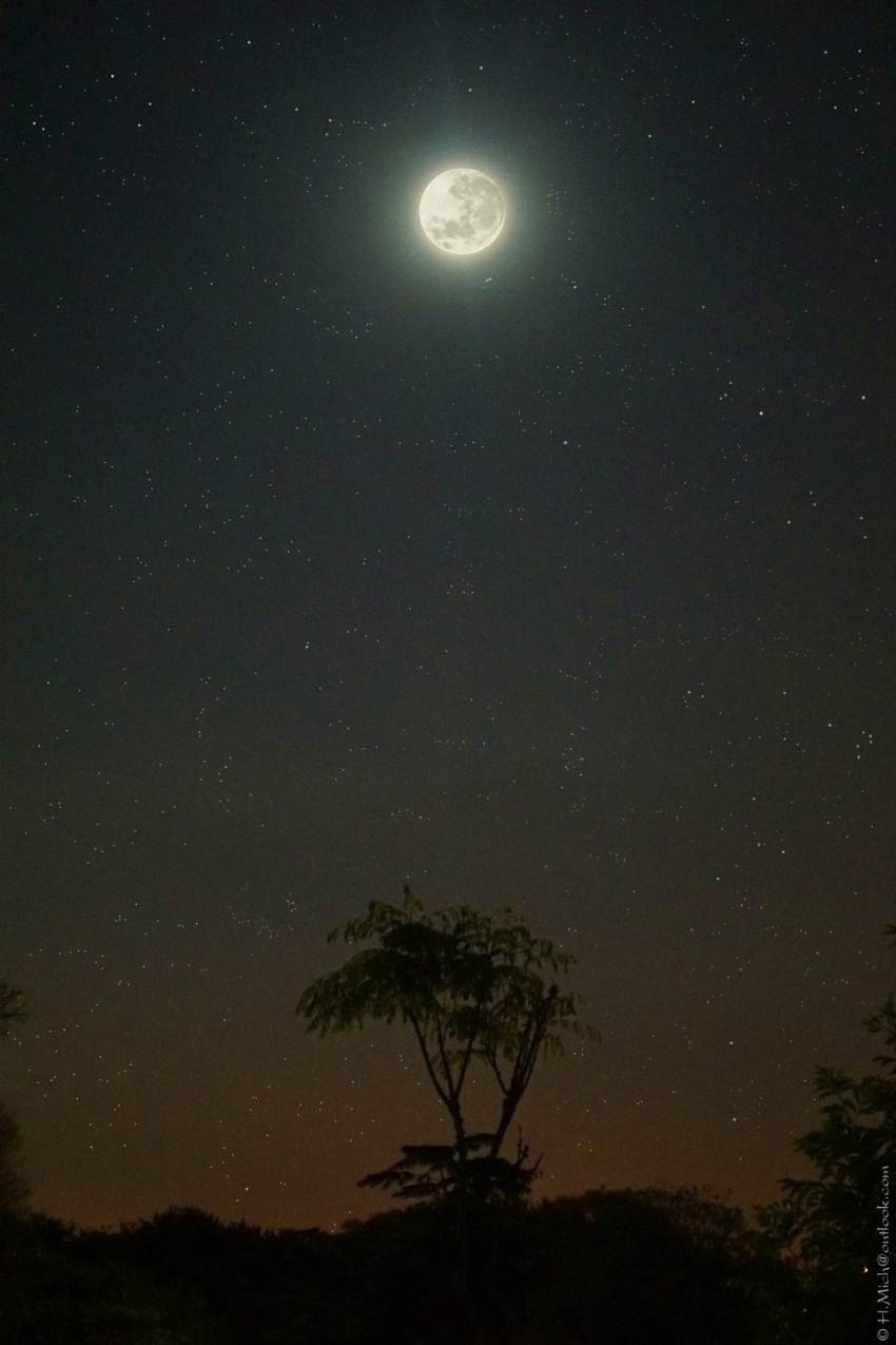 Studio-One.Art.br Repo Fotografia em Rio Preto SP/Brasil