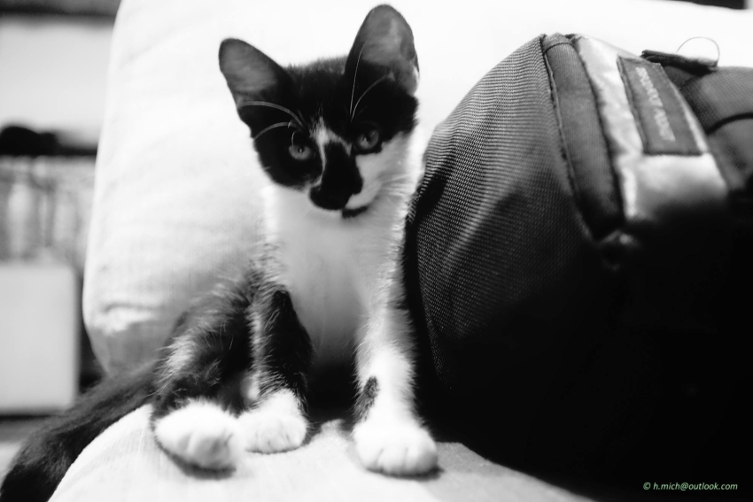 Studio-One.Art.br Repo Fotografia em Rio Preto SP/Brasil