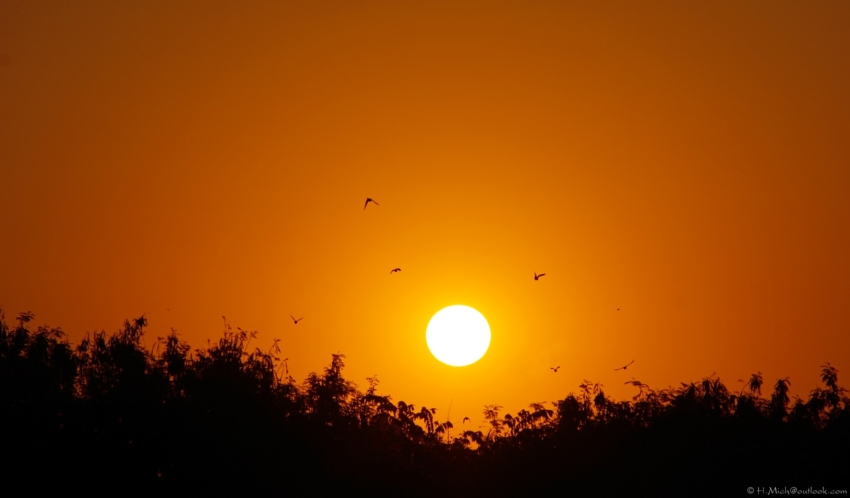 Studio-One.Art.br Repo Fotografia em Rio Preto SP/Brasil