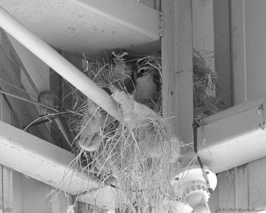 Studio-One.Art.br Repo Fotografia em Rio Preto SP/Brasil