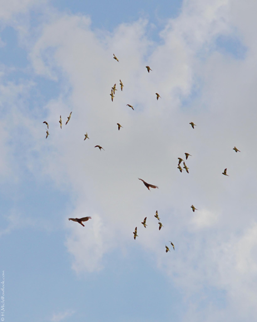 Studio-One.Art.br Repo Fotografia em Rio Preto SP/Brasil