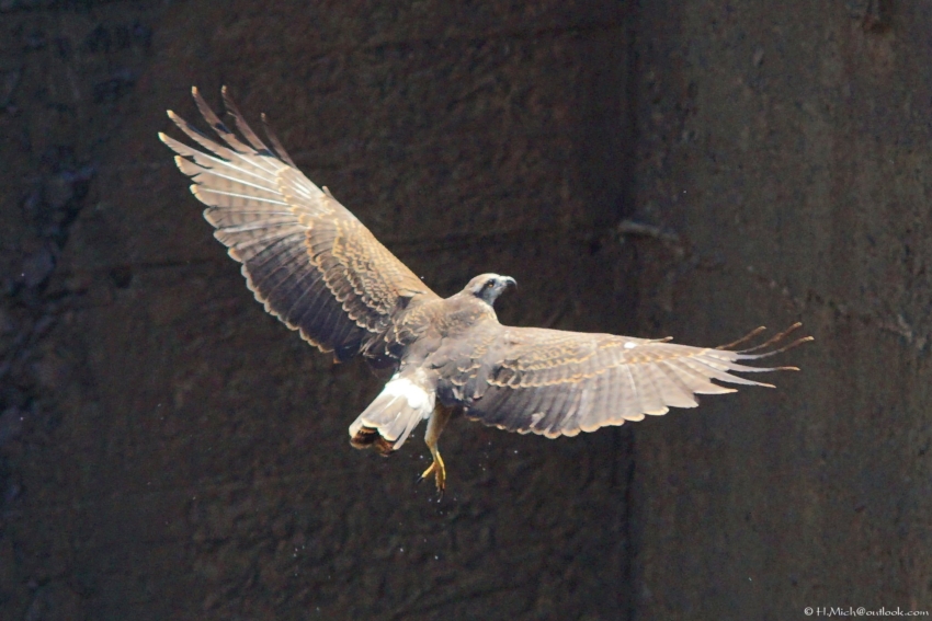 Studio-One.Art.br Repo Fotografia em Rio Preto SP/Brasil