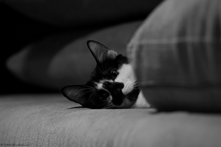 Studio-One.Art.br Repo Fotografia em Rio Preto SP/Brasil