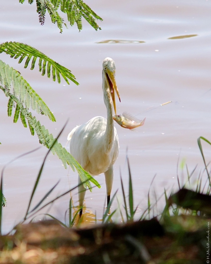 Studio-One.Art.br Repo Fotografia em Rio Preto SP/Brasil