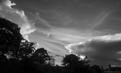 2022 06 15(386)