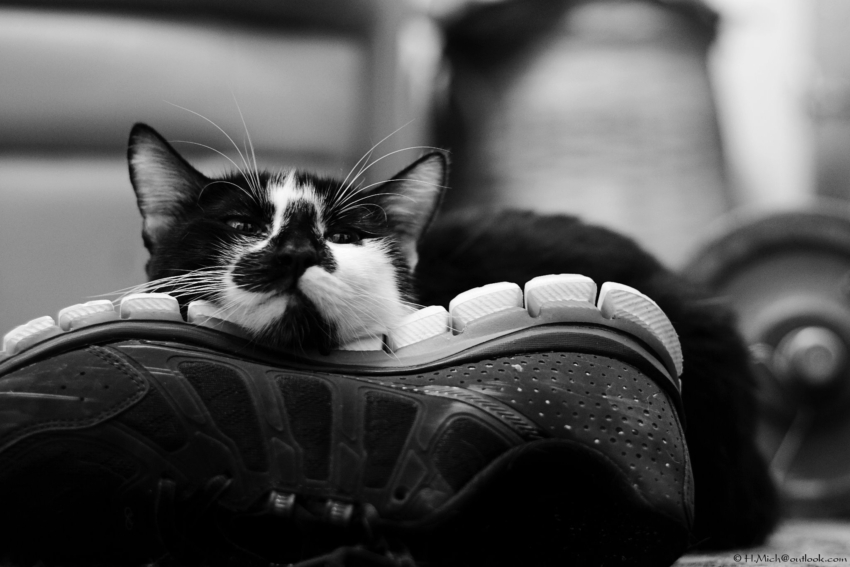 Studio-One.Art.br Repo Fotografia em Rio Preto SP/Brasil