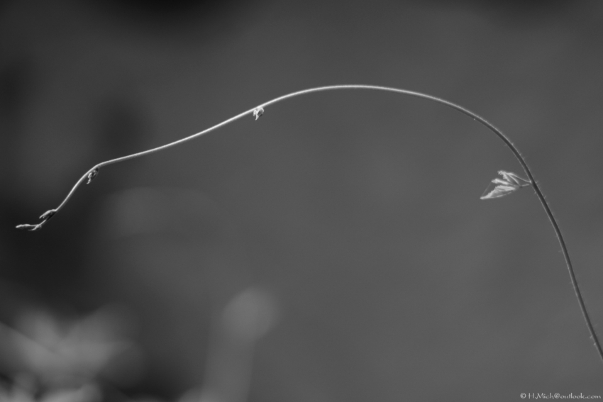 Studio-One.Art.br Repo Fotografia em Rio Preto SP/Brasil