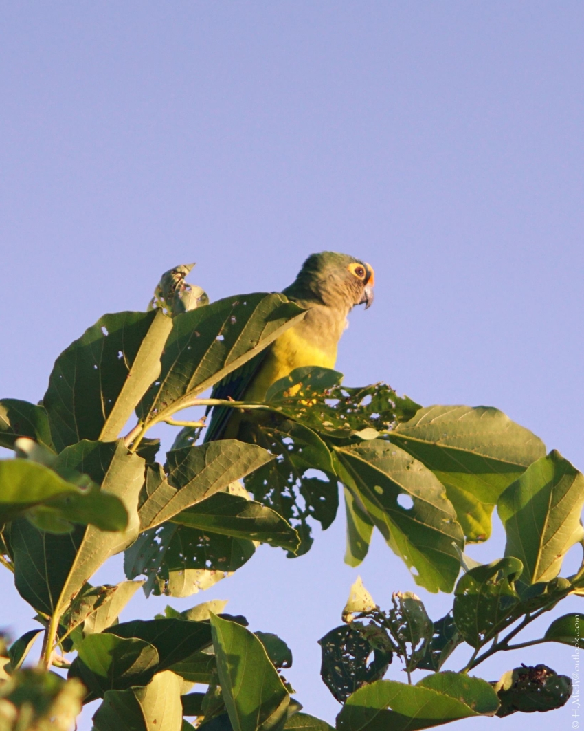 Studio-One.Art.br Repo Fotografia em Rio Preto SP/Brasil