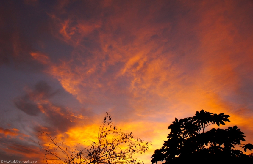 Studio-One.Art.br Repo Fotografia em Rio Preto SP/Brasil