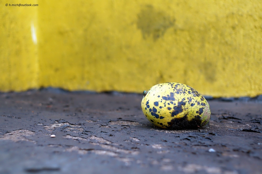 Studio-One.Art.br Repo Fotografia em Rio Preto SP/Brasil