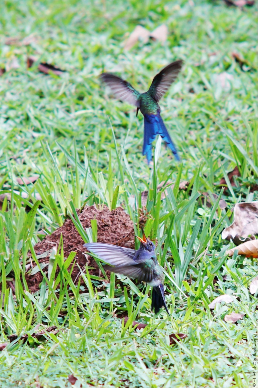 Studio-One.Art.br Repo Fotografia em Rio Preto SP/Brasil