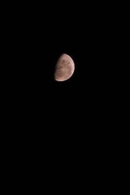 2022 06 15(39)