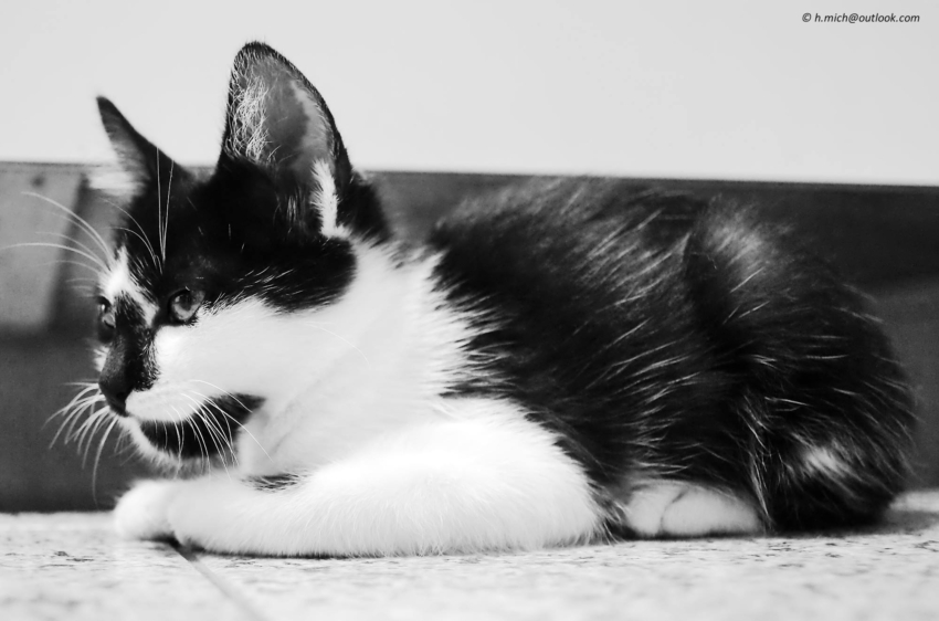 Studio-One.Art.br Repo Fotografia em Rio Preto SP/Brasil