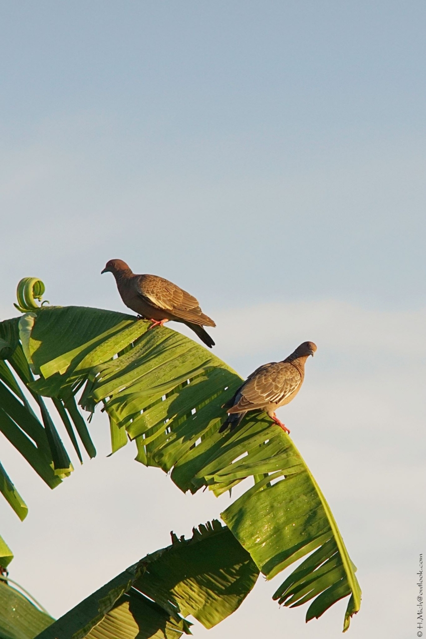 Studio-One.Art.br Repo Fotografia em Rio Preto SP/Brasil