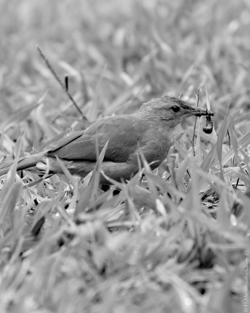 Studio-One.Art.br Repo Fotografia em Rio Preto SP/Brasil