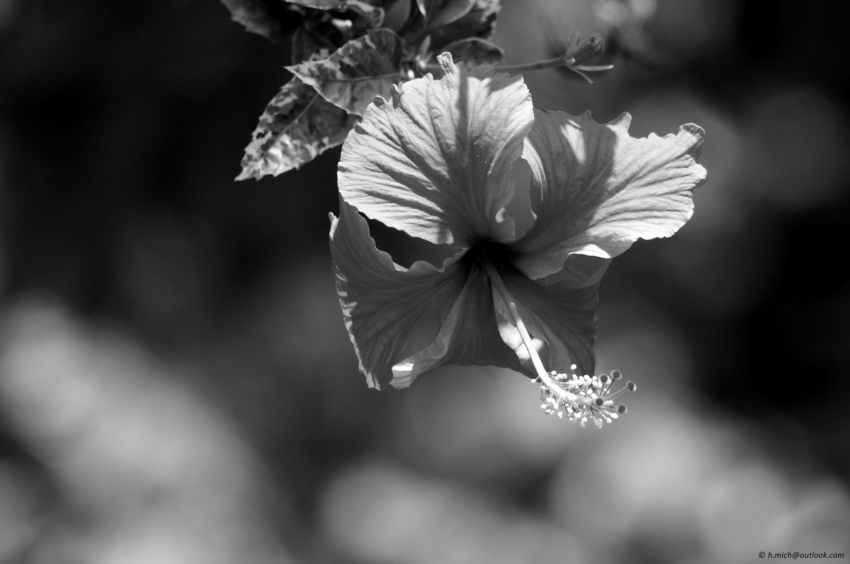 Studio-One.Art.br Repo Fotografia em Rio Preto SP/Brasil