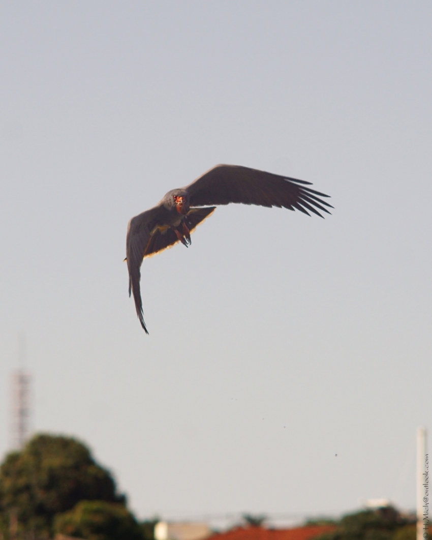 Studio-One.Art.br Repo Fotografia em Rio Preto SP/Brasil