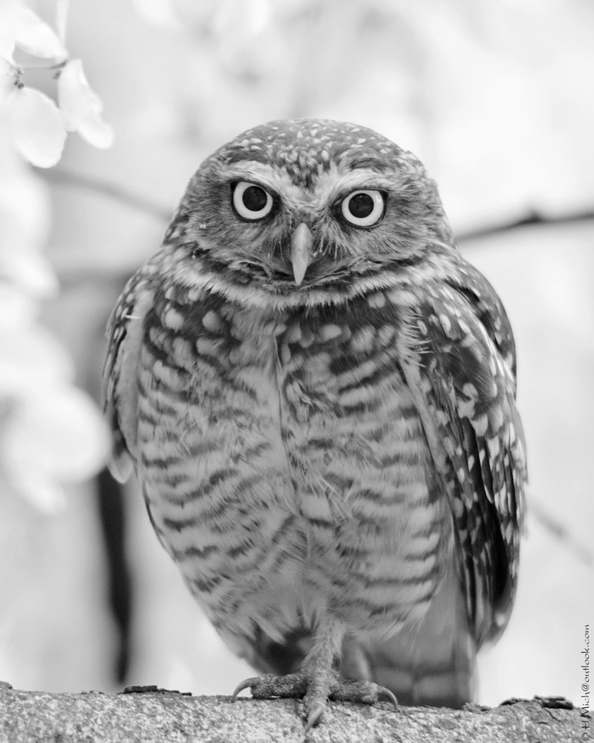 Studio-One.Art.br Repo Fotografia em Rio Preto SP/Brasil