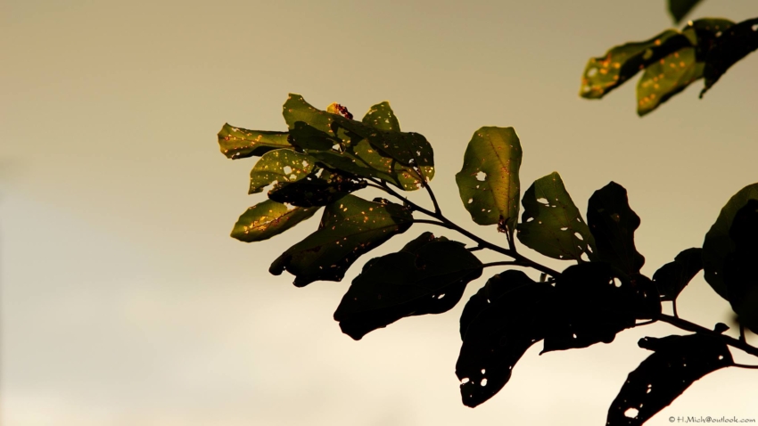 Studio-One.Art.br Repo Fotografia em Rio Preto SP/Brasil