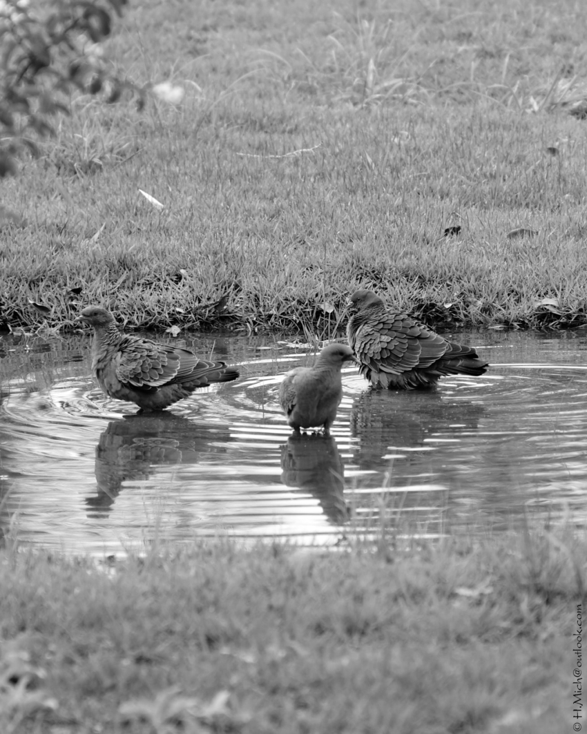 Studio-One.Art.br Repo Fotografia em Rio Preto SP/Brasil