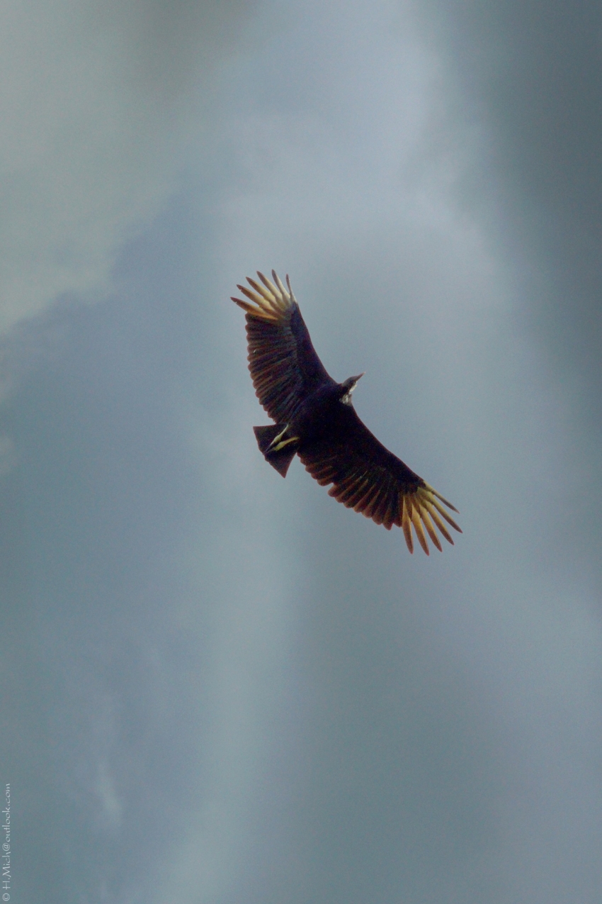 Studio-One.Art.br Repo Fotografia em Rio Preto SP/Brasil