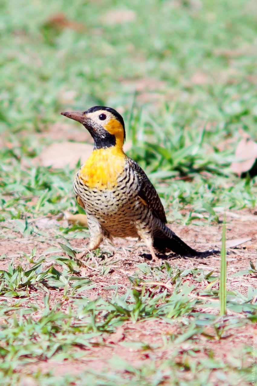 Studio-One.Art.br Repo Fotografia em Rio Preto SP/Brasil