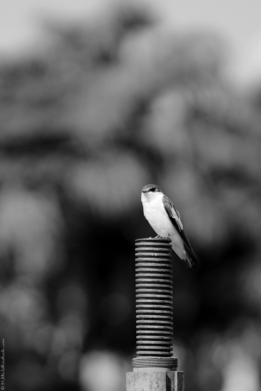 Studio-One.Art.br Repo Fotografia em Rio Preto SP/Brasil