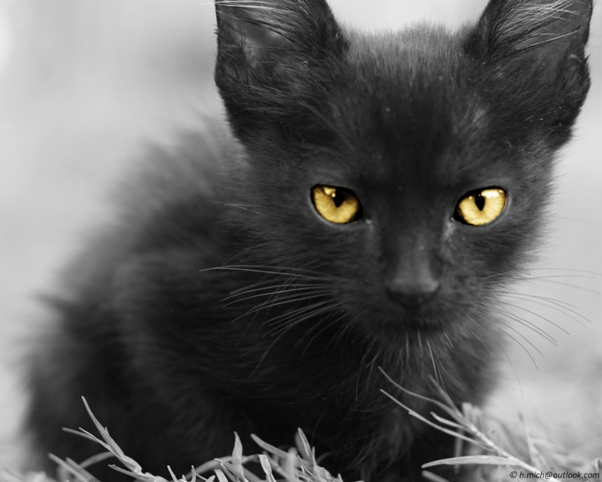 Studio-One.Art.br Repo Fotografia em Rio Preto SP/Brasil