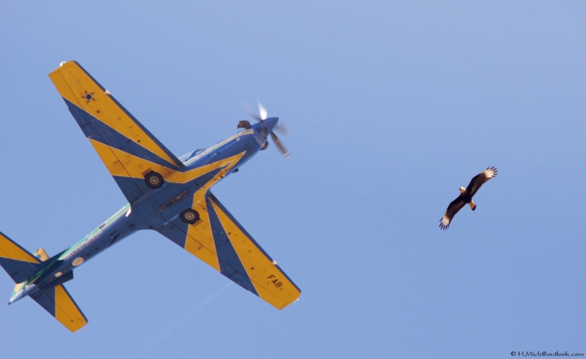 Studio-One.Art.br Repo Fotografia em Rio Preto SP/Brasil