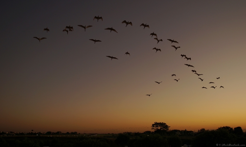 Studio-One.Art.br Repo Fotografia em Rio Preto SP/Brasil