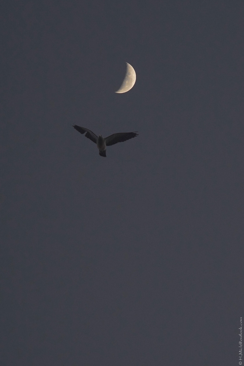 Studio-One.Art.br Repo Fotografia em Rio Preto SP/Brasil