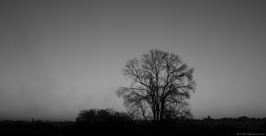 Studio-One.Art.br Repo Fotografia em Rio Preto SP/Brasil