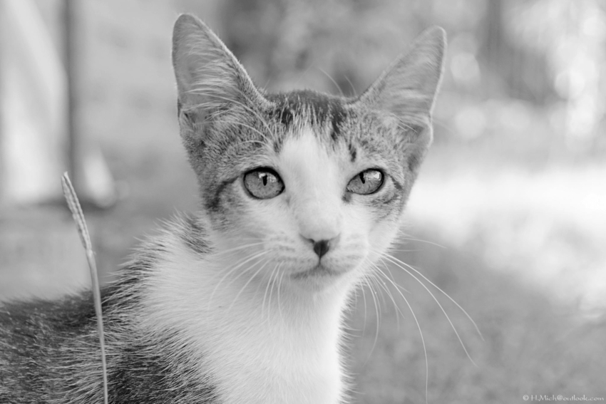 Studio-One.Art.br Repo Fotografia em Rio Preto SP/Brasil