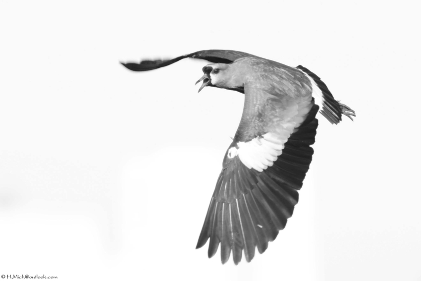 Studio-One.Art.br Repo Fotografia em Rio Preto SP/Brasil