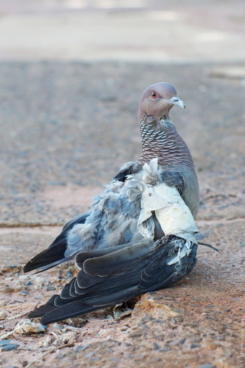 Studio-One.Art.br Repo Fotografia em Rio Preto SP/Brasil