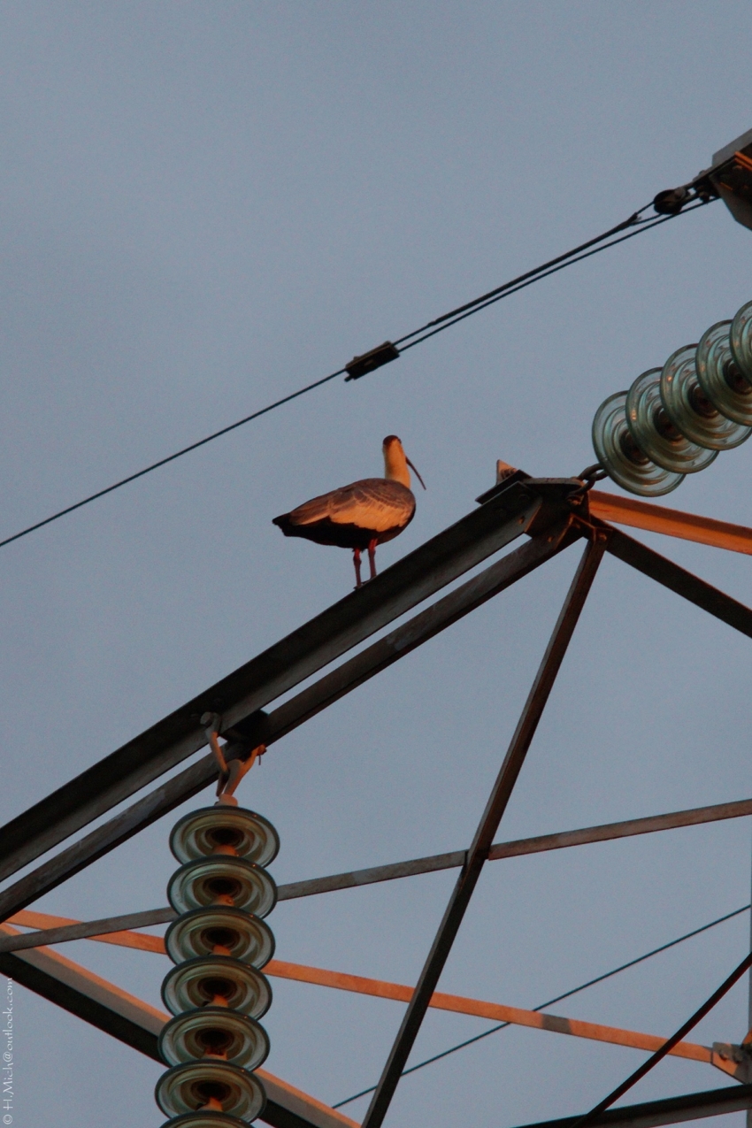 Studio-One.Art.br Repo Fotografia em Rio Preto SP/Brasil