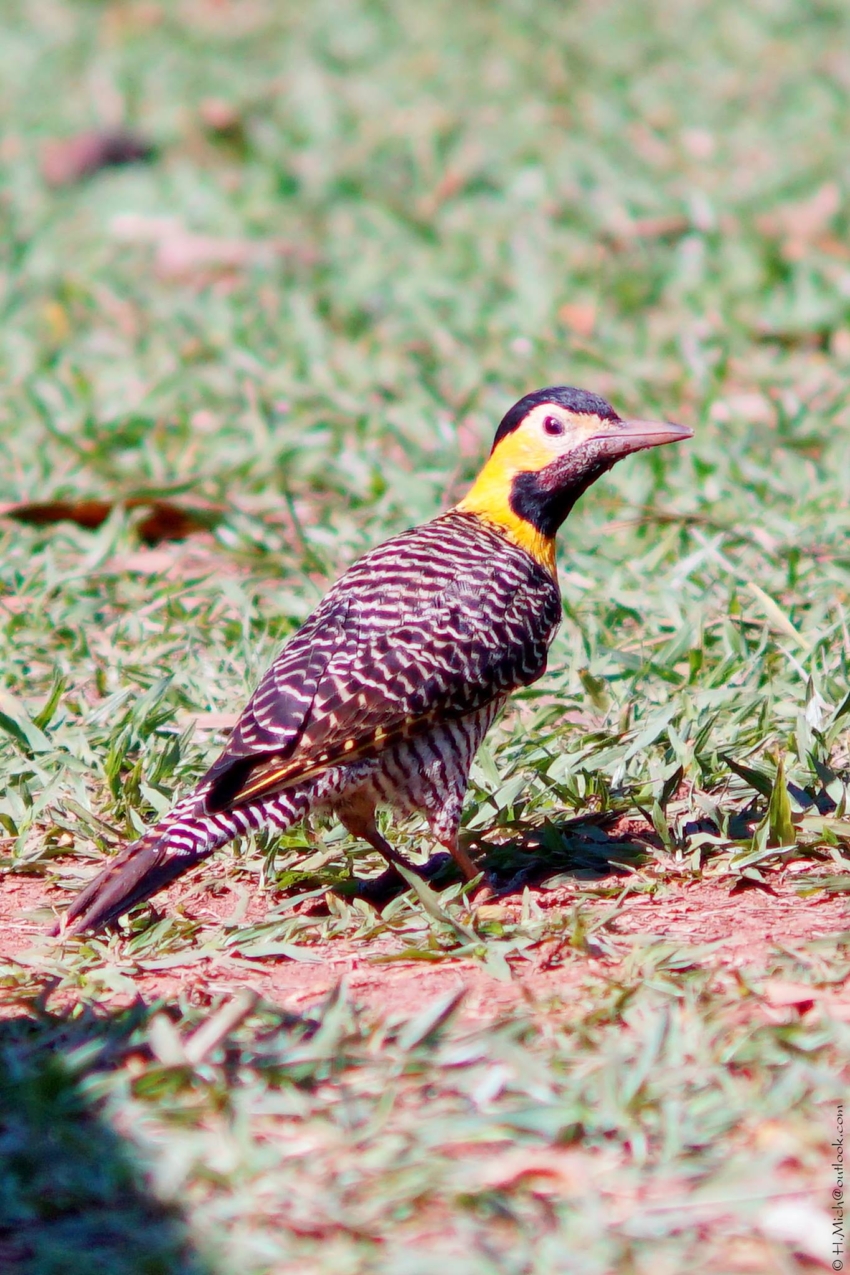 Studio-One.Art.br Repo Fotografia em Rio Preto SP/Brasil