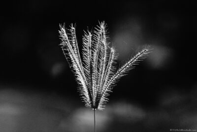 2022 06 15(402)