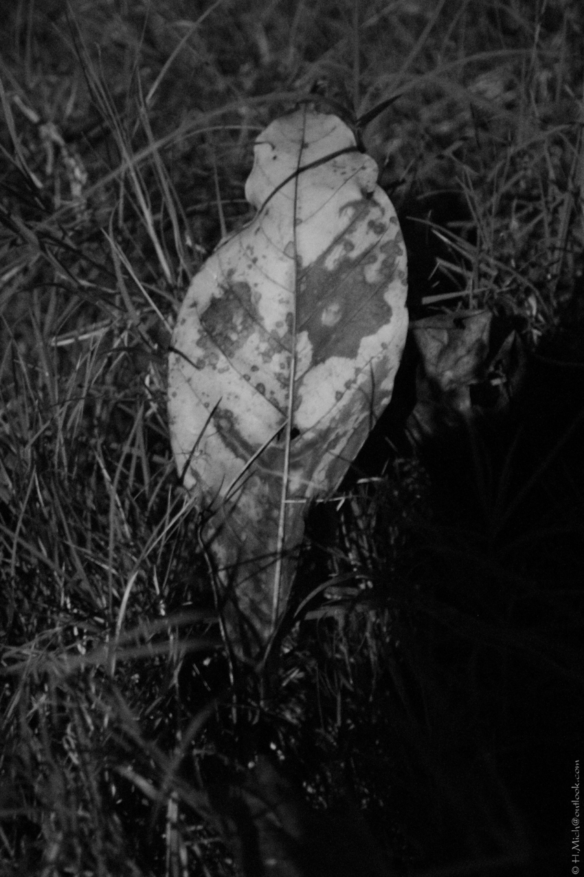 Studio-One.Art.br Repo Fotografia em Rio Preto SP/Brasil