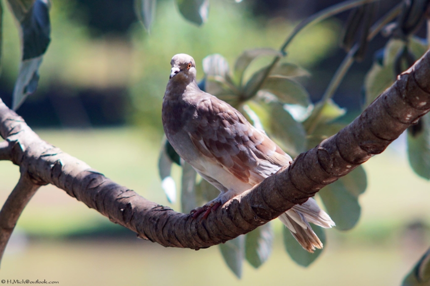 Studio-One.Art.br Repo Fotografia em Rio Preto SP/Brasil