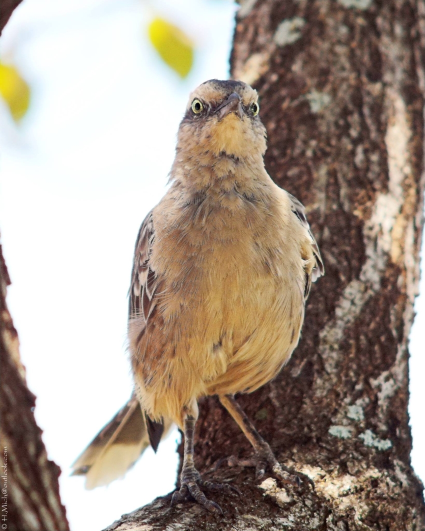 Studio-One.Art.br Repo Fotografia em Rio Preto SP/Brasil