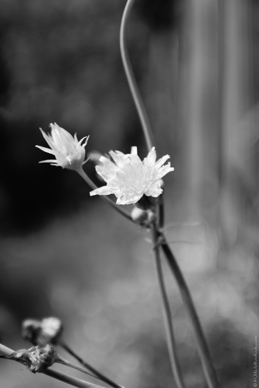 Studio-One.Art.br Repo Fotografia em Rio Preto SP/Brasil