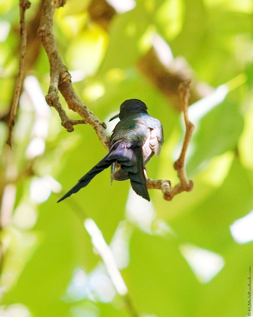 Studio-One.Art.br Repo Fotografia em Rio Preto SP/Brasil