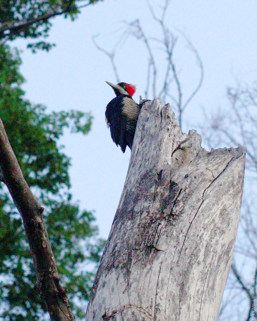 Studio-One.Art.br Repo Fotografia em Rio Preto SP/Brasil