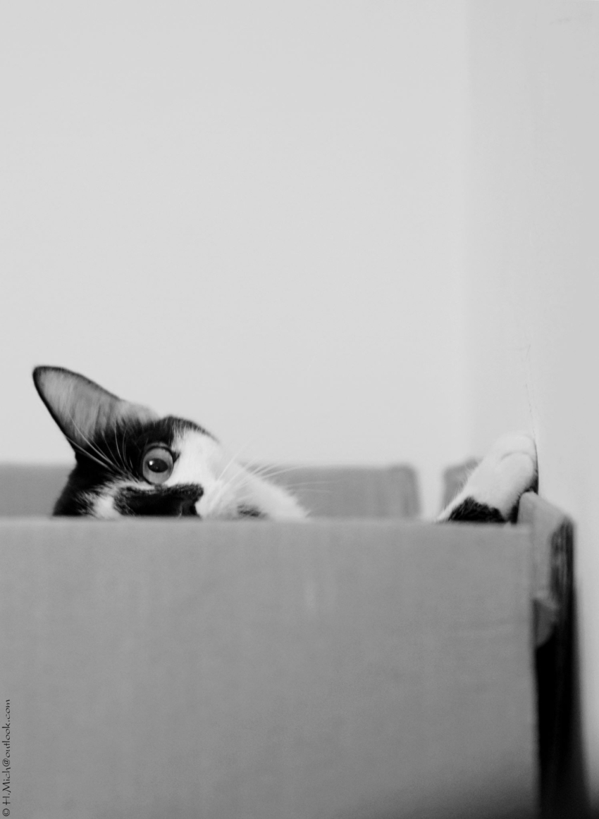 Studio-One.Art.br Repo Fotografia em Rio Preto SP/Brasil